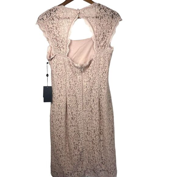 Adrianna Papell Lace Dress in Blush Pink - Picture 2 of 10
